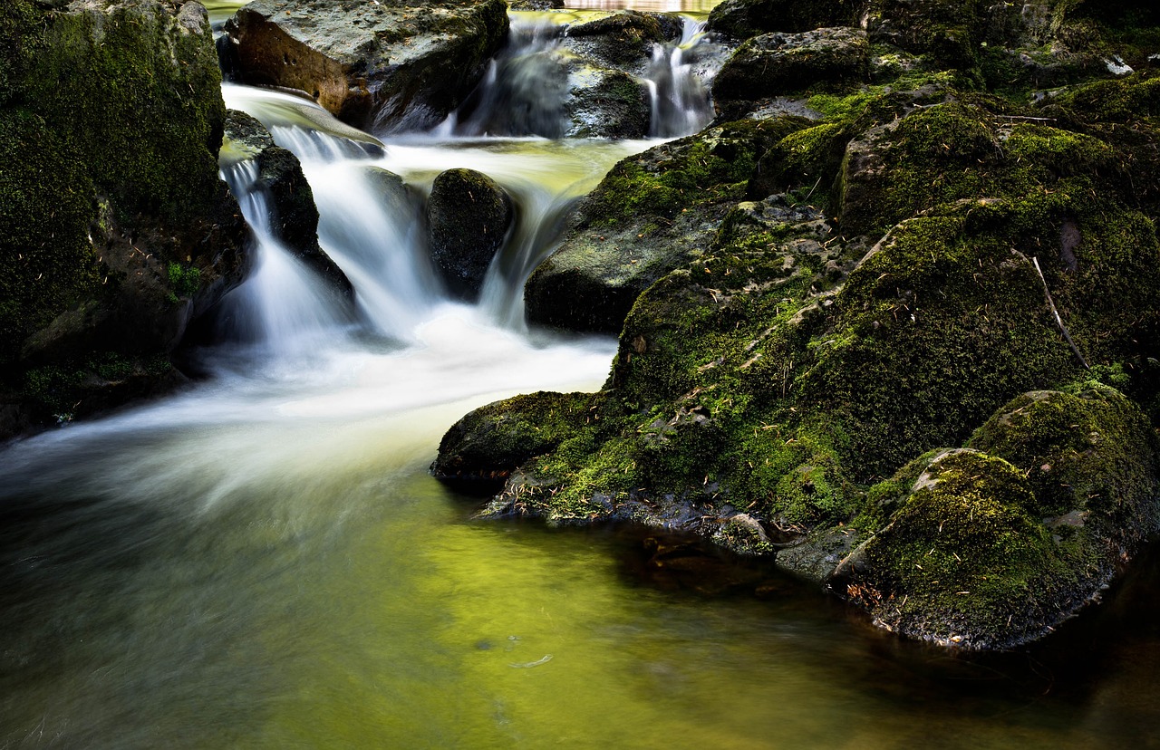 Green Travel Tips for Visiting Australia’s Tasmanian Wilderness